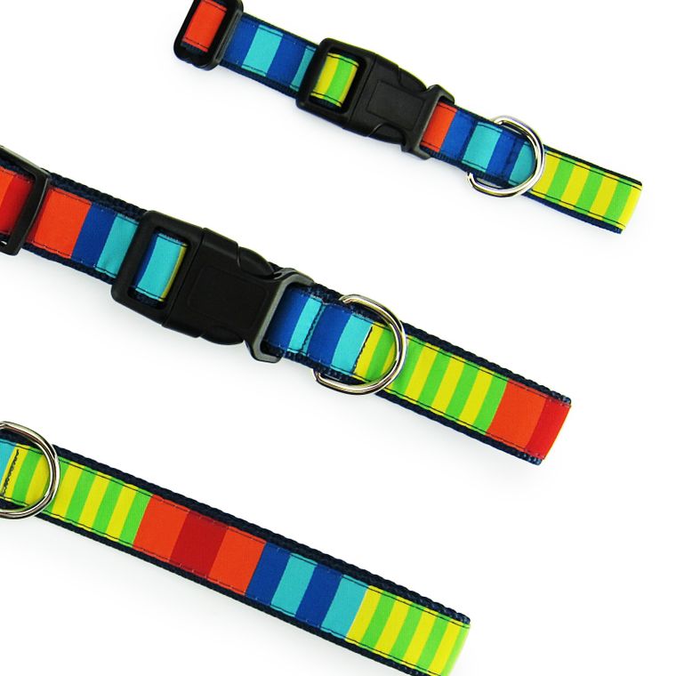 Dog Collar, Large - Party Stripes
