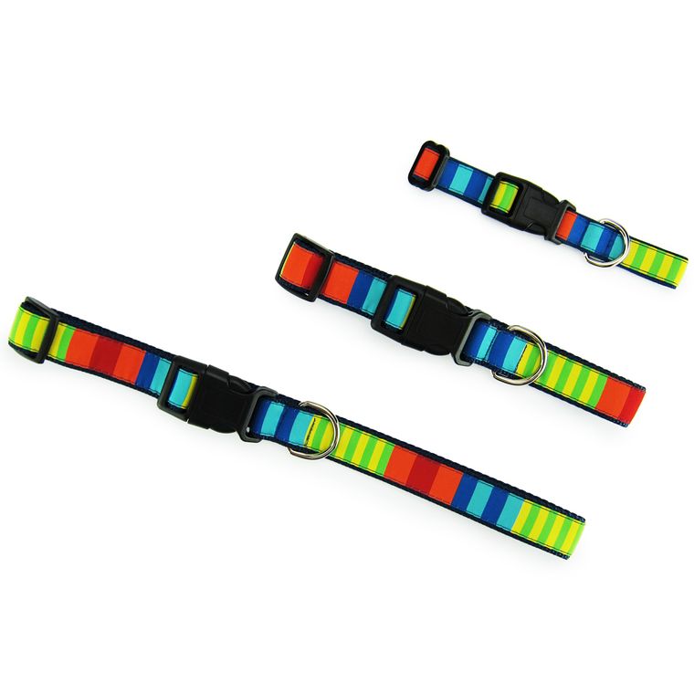 Dog Collar, Small - Party Stripes