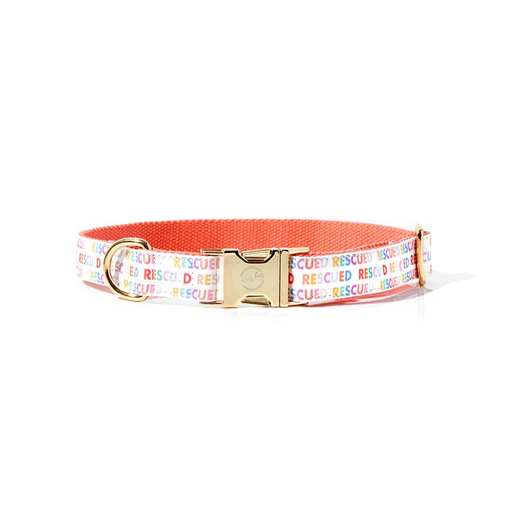 Rescued Rainbow Collar - Large